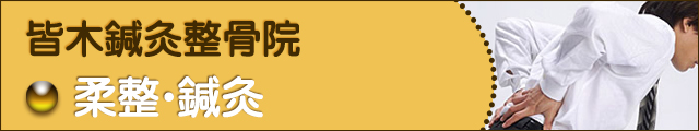 柔整治療・鍼灸治療